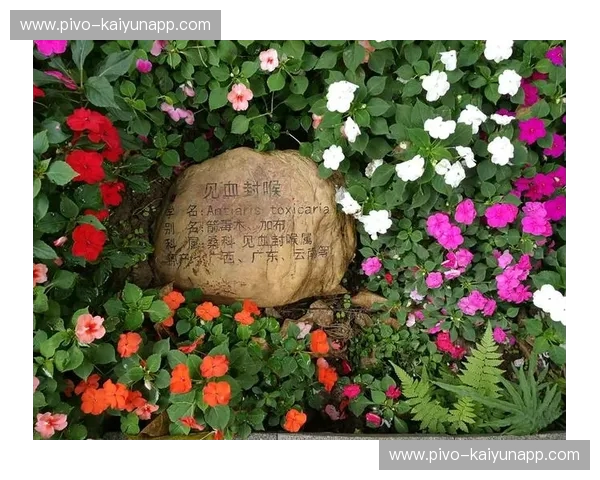 攀岩任意球：在岩壁与绿茵之间追寻那记完美弧线